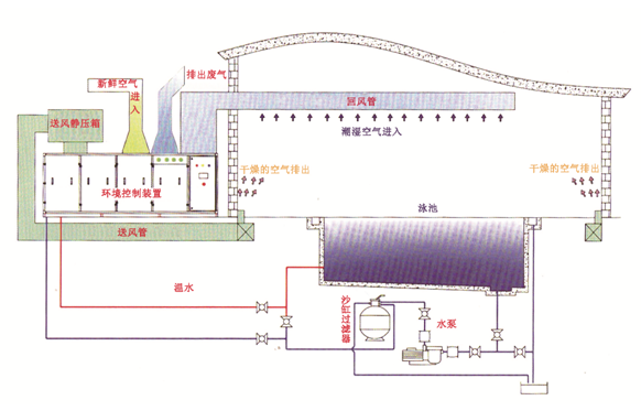 瀚宇水處理：如果做好這些，奧運泳池怎么會“綠”?